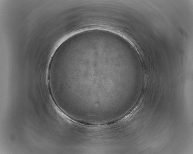X0000110881535200906181215