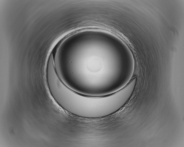 X0000110881536200906181215