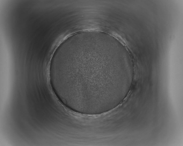 X0000110880002200906251258