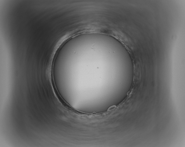 X0000110880003200906251258
