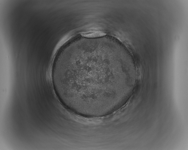 X0000110880004200906251258