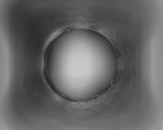 X0000110880005200906251258