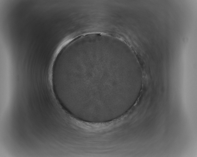 X0000110880006200906251258