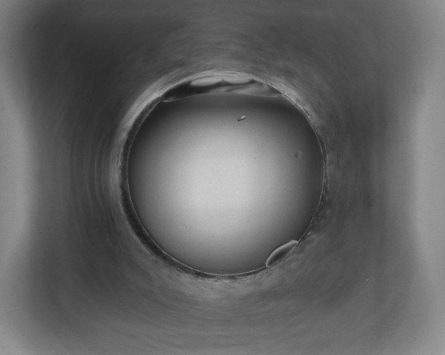 X0000110880007200906251258