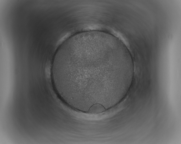X0000110880010200906251258