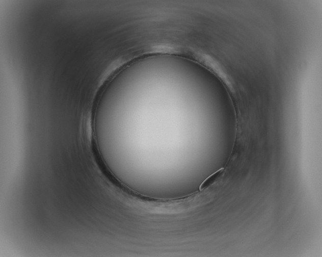 X0000110880011200906251258