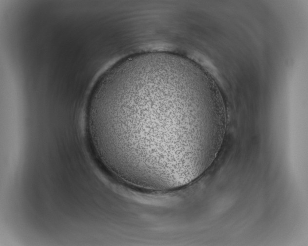 X0000110880012200906251258