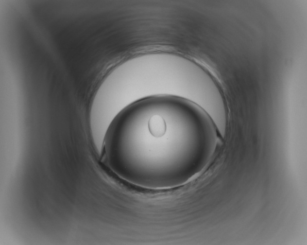 X0000110880013200906251258