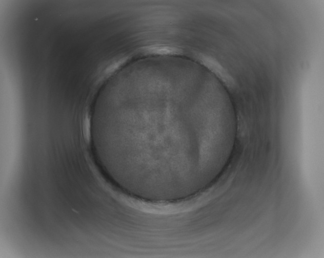 X0000110880014200906251258