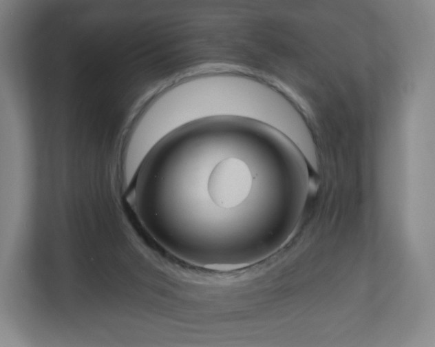 X0000110880015200906251258