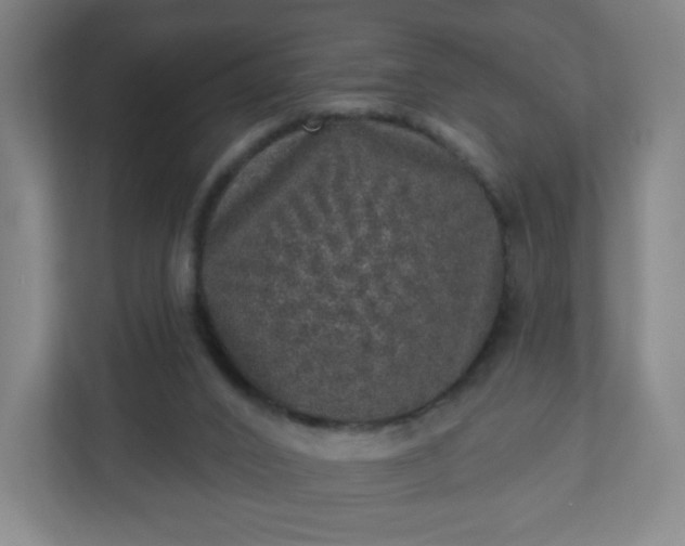 X0000110880016200906251258