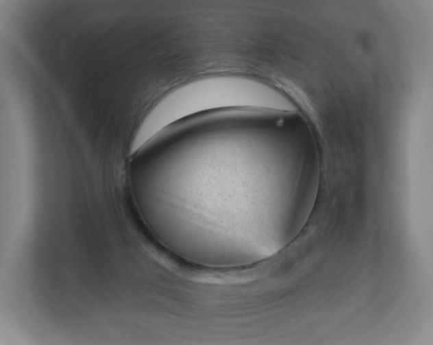 X0000110880017200906251258