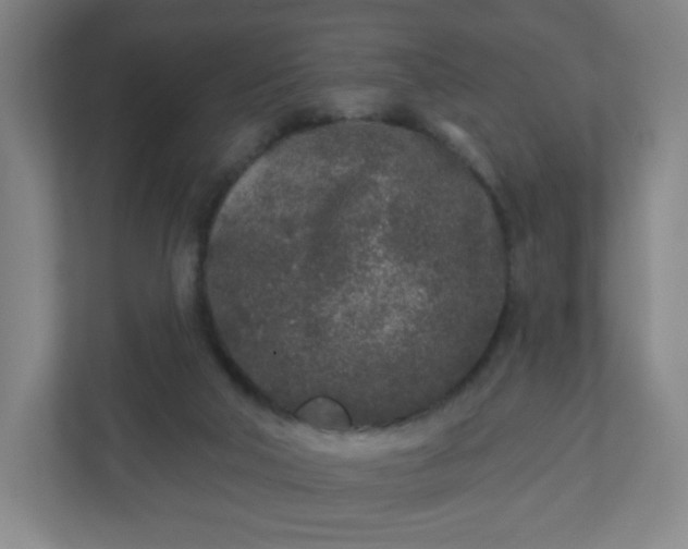 X0000110880018200906251258
