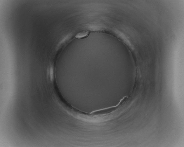 X0000110880019200906251258