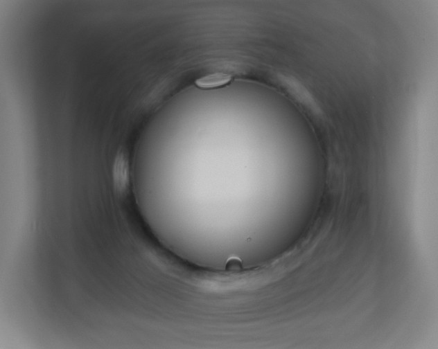 X0000110880021200906251258