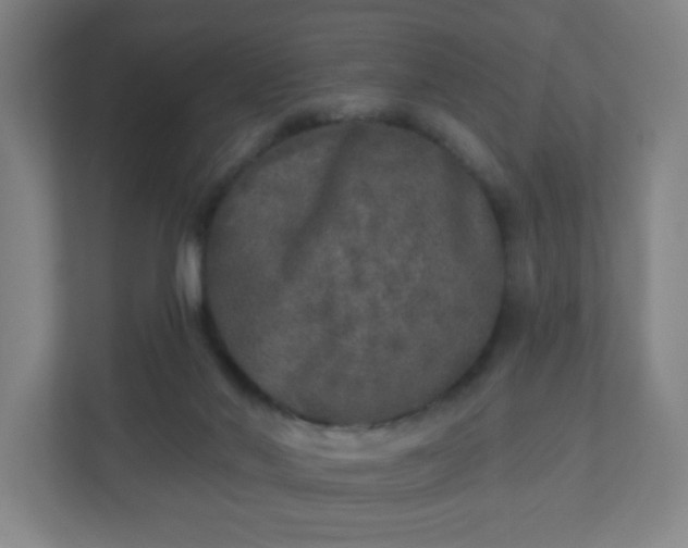 X0000110880022200906251258