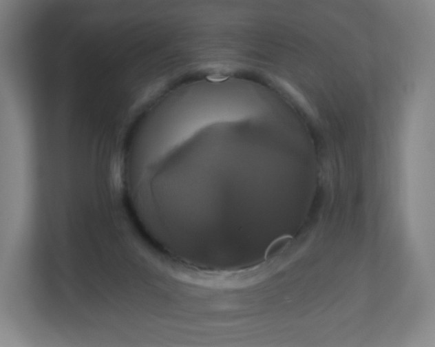 X0000110880023200906251258