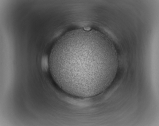 X0000110880028200906251258
