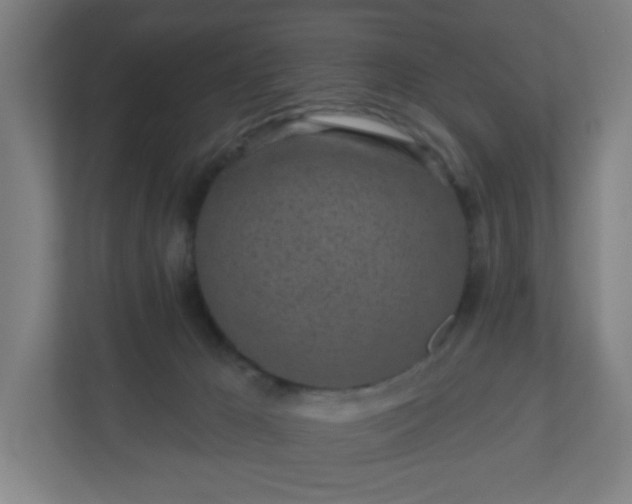X0000110880029200906251257