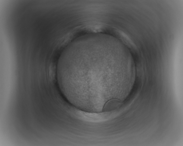 X0000110880030200906251257