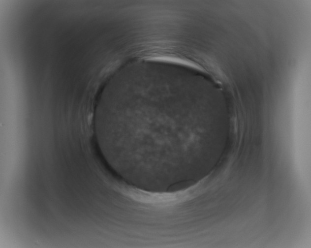 X0000110880031200906251257