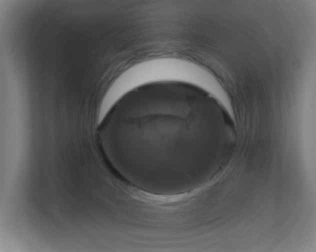 X0000110880035200906251257