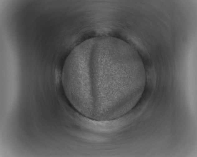 X0000110880038200906251257