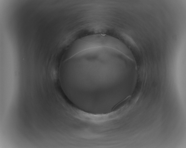 X0000110880039200906251257