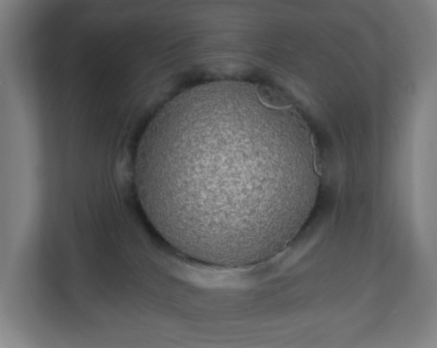 X0000110880040200906251257