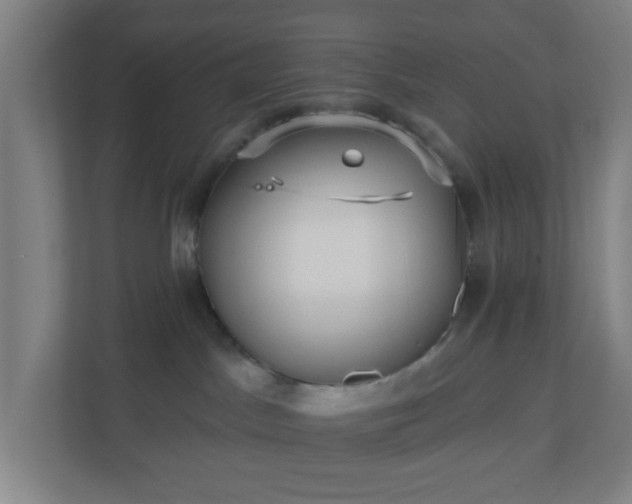 X0000110880045200906251257