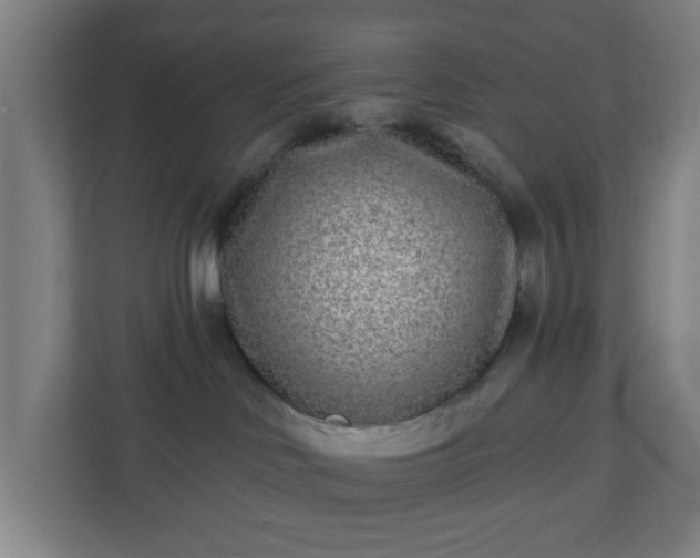 X0000110880046200906251257