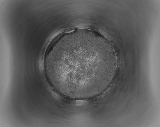 X0000110880050200906251257