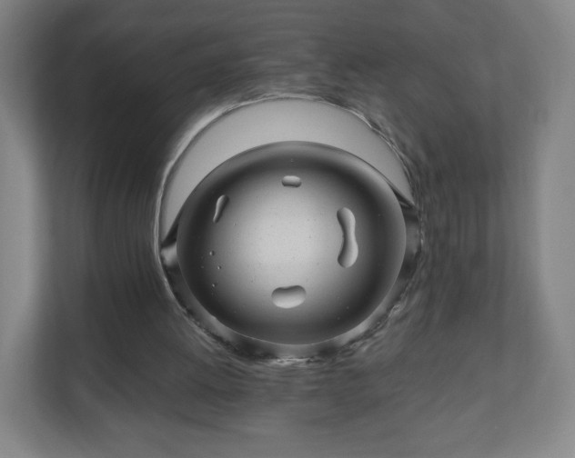 X0000110880052200906251257