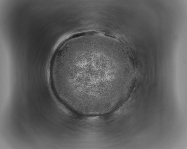 X0000110880054200906251257