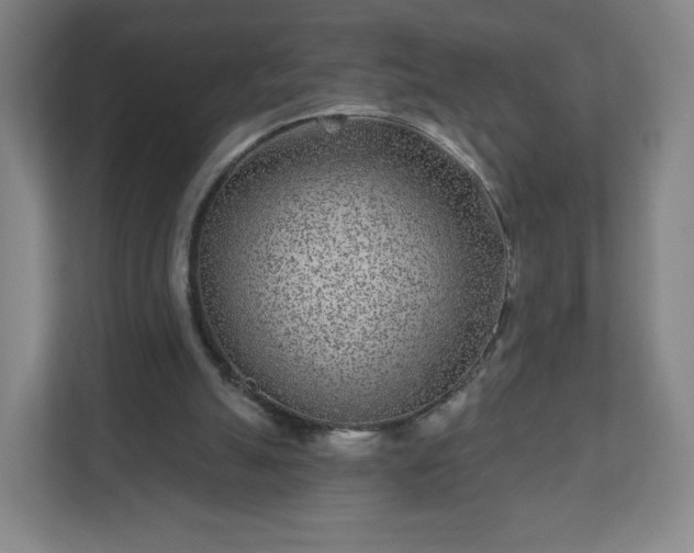 X0000110880055200906251257