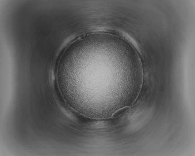 X0000110880059200906251257