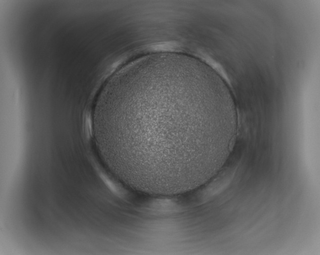 X0000110880061200906251257