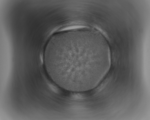 X0000110880062200906251257