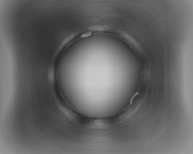 X0000110880064200906251257