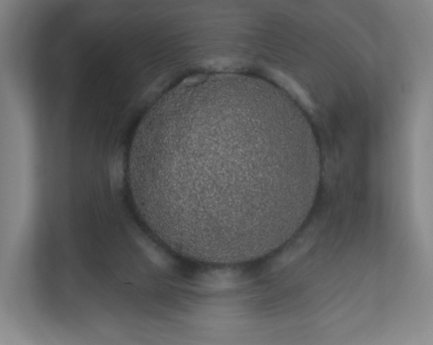 X0000110880065200906251257