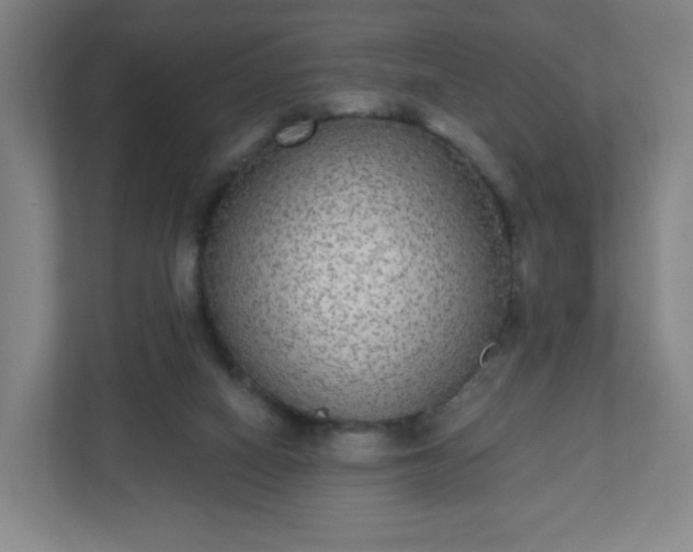 X0000110880066200906251257