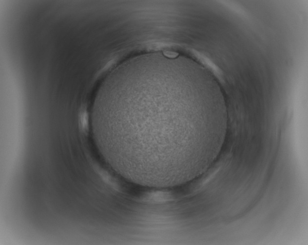 X0000110880067200906251257