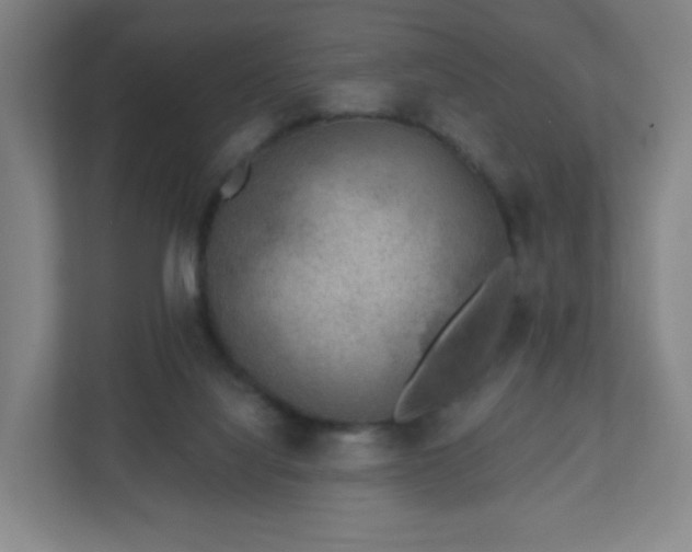 X0000110880068200906251257