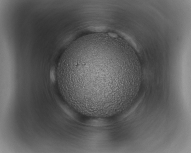 X0000110880069200906251257