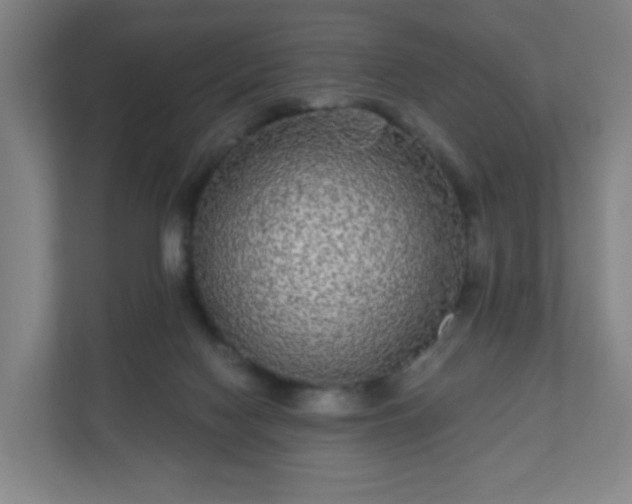 X0000110880074200906251257