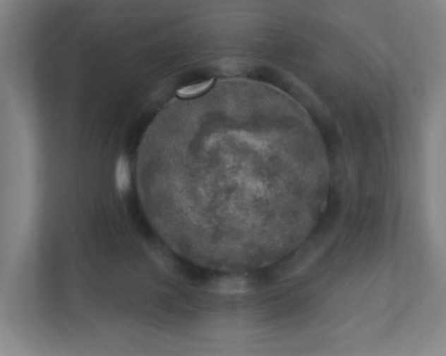 X0000110880075200906251257