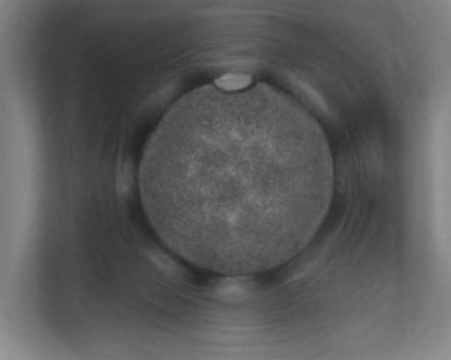 X0000110880077200906251257