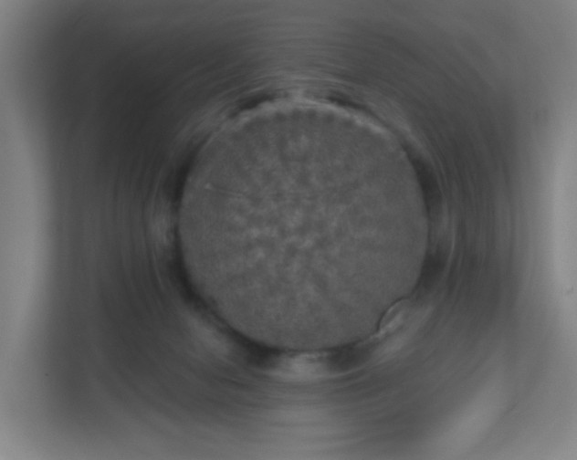 X0000110880078200906251257