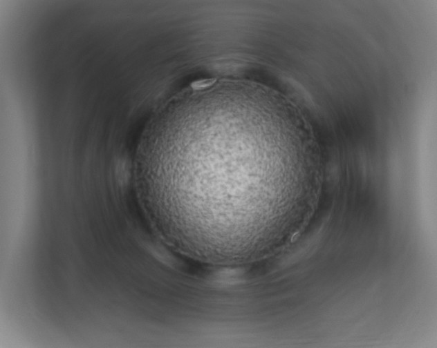 X0000110880081200906251257