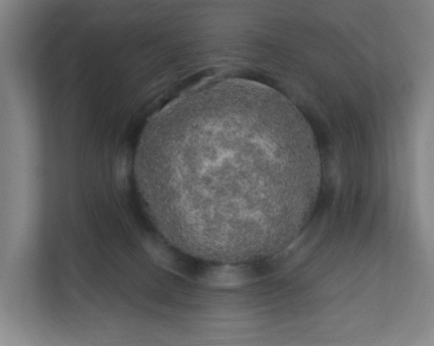 X0000110880082200906251257